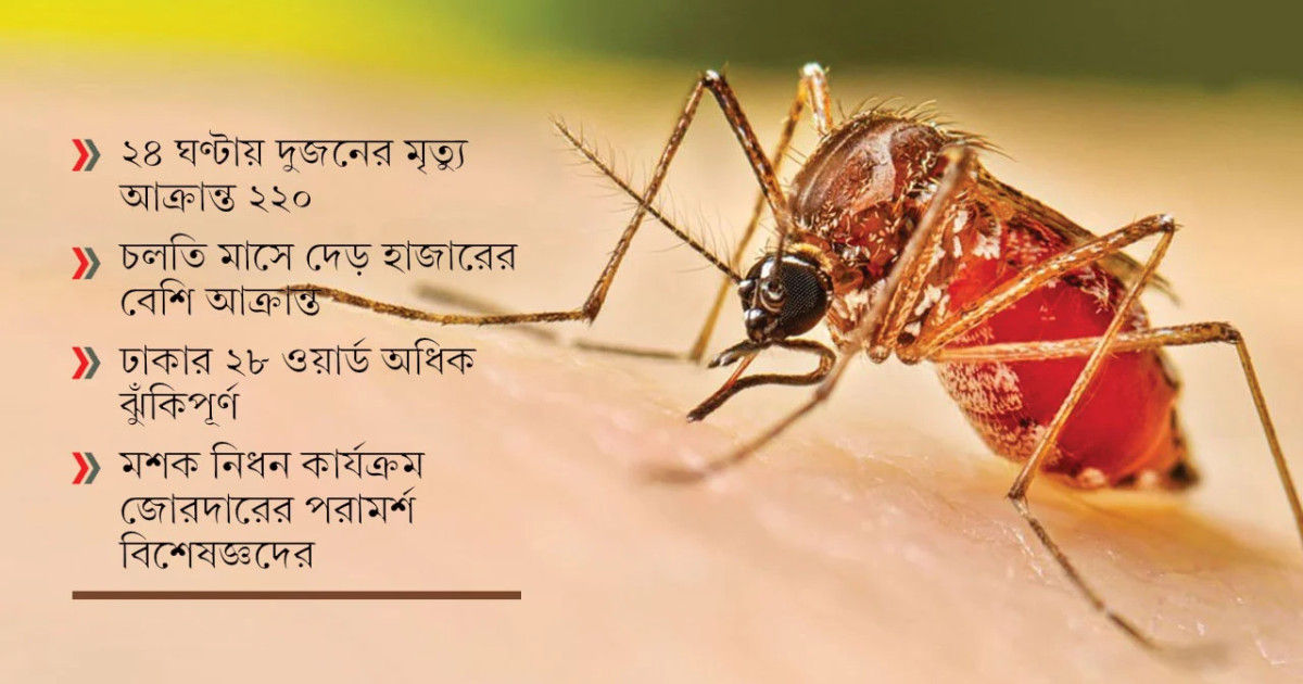 ডেঙ্গুর ভয়াবহ বিস্তার: একসঙ্গে ৫৮ জেলায় আতঙ্ক, হামের মধ্যেই নতুন সংকট