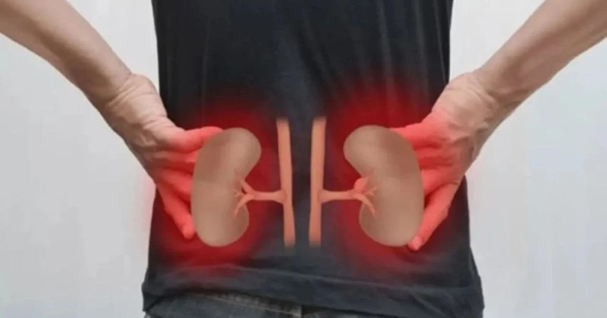 https://www.prothomdorpan.com.monirulbd.com/admin/fav-icon-logo/image/1761146741.250..125.jpg